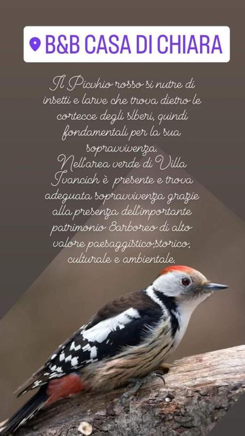 Alojamento de Acomodação e Pequeno-almoço Casa Di Chiara
