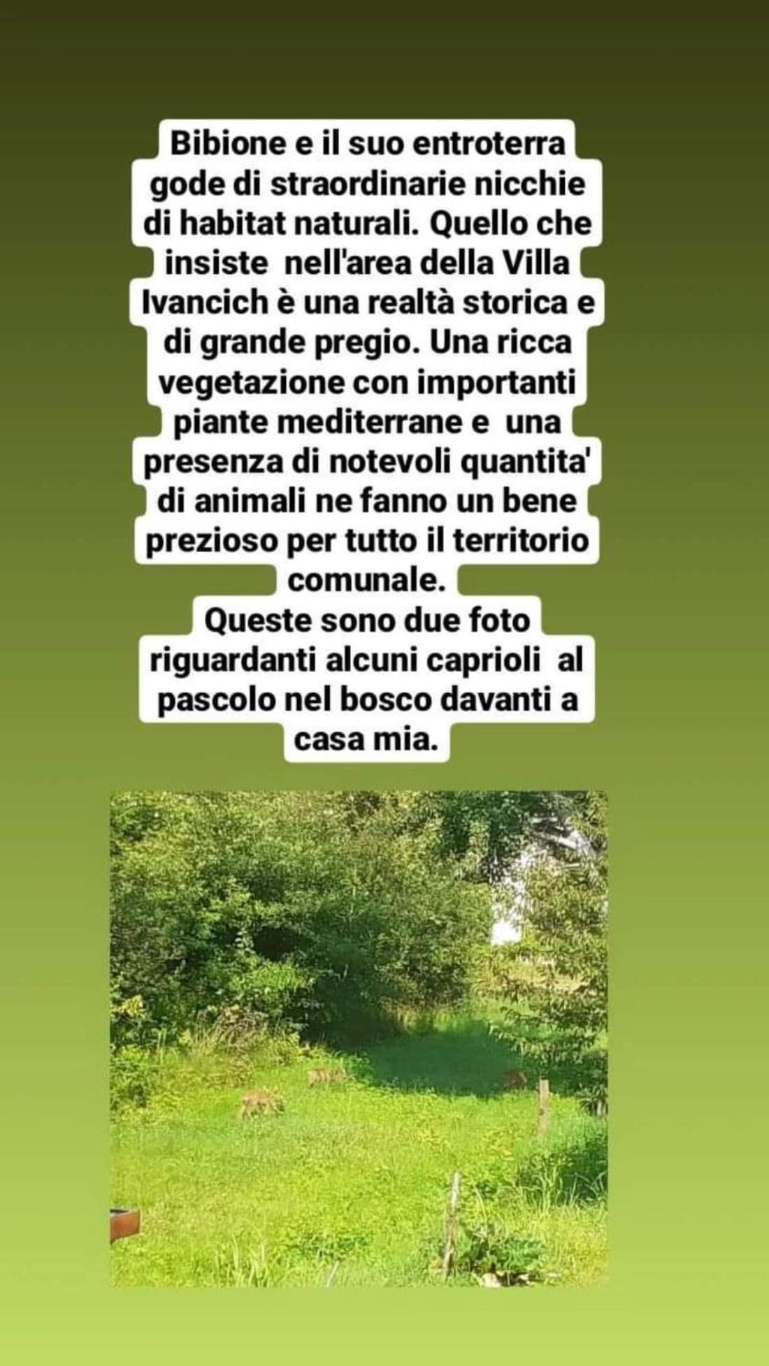 Casa Di Chiara Frühstückspension *